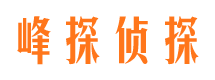 成华市调查公司